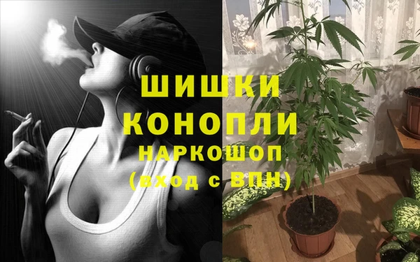 гидропоника Балабаново