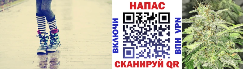где продают наркотики  Унеча  Каннабис семена 